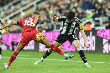 Liverpool 'dan Cody Gakpo ve Newcastle United takımından Tino Livramento Premier Lig karşılaşmasında Liverpool' a karşı St. James 'Park, Newcastle, İngiltere, 4 Aralık 202