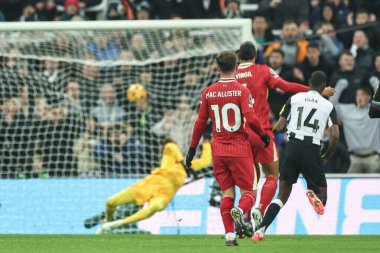 Newcastle United takımından Alexander Isak, 4 Aralık 202 'de St. James' Park, Newcastle 'da oynanan Premier League karşılaşmasında 1-0 öne geçti.