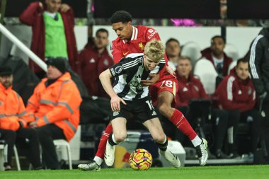 Newcastle United takımından Anthony Gordon, Liverpool 'lu Cody Gakpo' yu 4 Aralık 202 'de St. James' Park, Newcastle 'da oynanan Premier League maçı sırasında durdurdu.