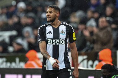 Newcastle United 'dan Joelinton Premier Lig maçı sırasında Newcastle United, Liverpool' a karşı St. James 'Park, Newcastle, 4 Aralık 202