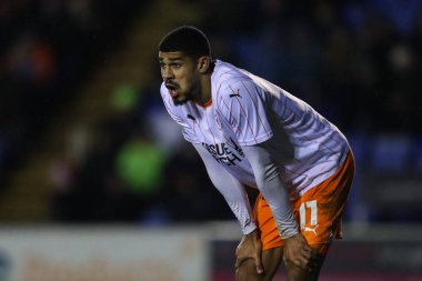 Blackpool takımından Ashley Fletcher 4 Aralık 2024 'te Croud Meadow, Shrewsbury' de Shrewsbury Town 'a karşı Blackpool maçında