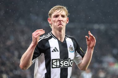 Newcastle United takımından Anthony Gordon, 4 Aralık 202 'de St. James' Park, Newcastle 'da oynanan Premier League karşılaşmasında 2-1' lik galibiyet golünü kutluyor.
