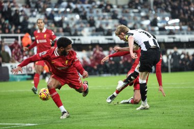 Newcastle United takımından Anthony Gordon, 4 Aralık 202 'de St. James' Park, Newcastle 'da oynanan Premier League karşılaşmasında Liverpool' a karşı 2-1 berabere kaldı.