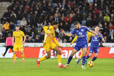 Brighton & Hove Albion takımından Joo Pedro, 8 Aralık 2024 'te King Power Stadyumu' nda oynanan Premier League maçında Leicester City ve Hove Albion maçında gol atma şansı yakaladı.