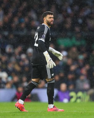 Premier Lig maçında Arsenal 'den David Raya, 8 Aralık 2024' te Craven Cottage, Londra 'da Fulham ve Arsenal' e karşı.