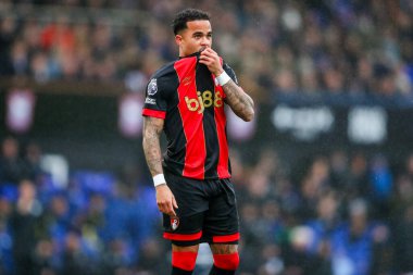 AFC Bournemouth 'dan Justin Kluivert, 8 Aralık 2024' te Ipswich Town ile Bournemouth arasında oynanan Premier League karşılaşmasında tepki gösterdi.