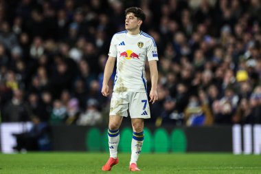 Leeds United takımından Daniel James 10 Aralık 2024 'te Leeds Road, Leeds, İngiltere' de Leeds United ile oynadığı Sky Bet Şampiyonası karşılaşmasında...