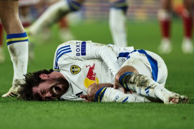 Joe Rothwell of Leeds United goes down injured during the Sky Bet Championship match Leeds United vs Middlesbrough at Elland Road, Leeds, United Kingdom, 10th December 2024 clipart