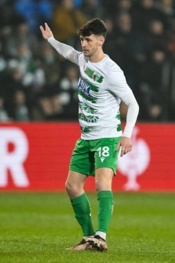 The New Saints F.C. 'den Rory Holden. UEFA Konferans Ligi sırasında - Lig Sahnesi: Croud Meadow, Shrewsbury, İngiltere 'de Yeni Azizler - Panathinaikos davası