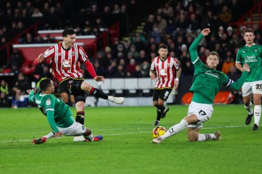 Sheffield United takımından Kieffer Moore, Sheffield Lane, Sheffield, İngiltere 'de 14 Aralık 2024' te Sheffield United - Plymouth Argyle maçında kalede şut çekti.