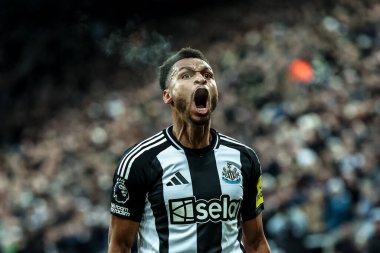 Jacob Murphy of Newcastle United celebrates his goal to make it 1-0 during the Premier League match Newcastle United vs Leicester City at St. James's Park, Newcastle, United Kingdom, 14th December 2024 clipart