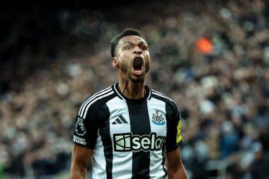 Newcastle United takımından Jacob Murphy, Premier League maçı Newcastle United ile Leicester City maçında 14 Aralık 2024 'te St.James' s Park, Newcastle 'da 1-0' lık galibiyetini kutluyor.