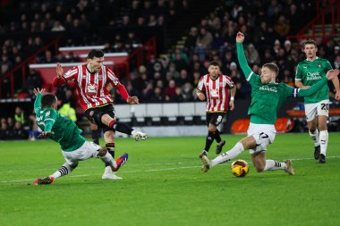Sheffield United takımından Kieffer Moore, Sheffield Lane, Sheffield, İngiltere 'de 14 Aralık 2024' te Sheffield United - Plymouth Argyle maçında kalede şut çekti.
