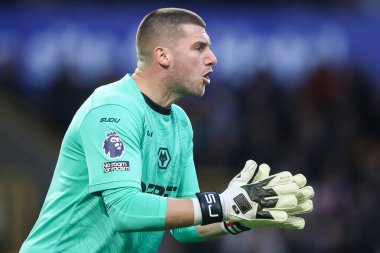 Wolverhampton Wanderers 'dan Sam Johnstone Premier League maçında takım arkadaşlarına talimat veriyor Wolverhampton Wanderers, Molineux, Wolverhampton, Birleşik Krallık' ta Ipswich Town 'a karşı 14 Aralık 2024
