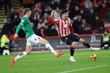 Sheffield United takımından Kieffer Moore, Sheffield Lane, Sheffield, İngiltere 'de 14 Aralık 2024' te Sheffield United ve Plymouth Argyle maçında topu çaprazlıyor.