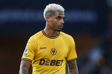 Wolverhampton Wanderers 'dan Mario Lemina Premier League maçı sırasında Wolverhampton Wanderers, Molineux, Wolverhampton, Birleşik Krallık' ta Ipswich Town 'a karşı 14 Aralık 2024