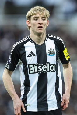 Newcastle United 'dan Anthony Gordon Premier League maçı sırasında Newcastle United ile Leicester City arasında St. James' s Park, Newcastle, İngiltere 'de 14 Aralık 2024