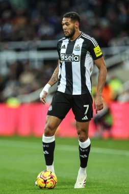 Newcastle United takımından Joelinton Premier Lig maçında topla birlikte Newcastle United, Leicester City 'ye karşı St. James' s Park, Newcastle, İngiltere, 14 Aralık 2024