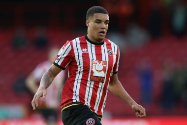 Sheffield United ile Sheffield United arasındaki maçta Sheffield United, Plymouth Argyle 'a karşı Bramall Lane, Sheffield, Birleşik Krallık, 14 Aralık 2024