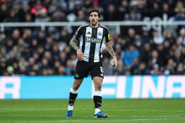 Newcastle United 'dan Sandro Tonali Premier Lig maçı sırasında Newcastle United, Leicester City' ye karşı St. James 's Park, Newcastle, İngiltere, 14 Aralık 2024