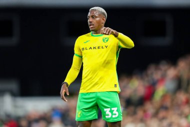 Norwich City 'den Jose Cordoba, 15 Aralık 2024' te Norwich City, Norwich Road, Norwich 'te Burnley' e karşı oynanan Gökyüzü İddia Şampiyonası maçında görev başında.