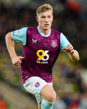 Zian Flemming of Burnley in action during the Sky Bet Championship match Norwich City vs Burnley at Carrow Road, Norwich, United Kingdom, 15th December 2024 clipart