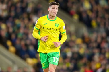 Norwich City 'den Ante Crnac, 15 Aralık 2024' te Norwich City, Norwich Road, Norwich 'te Burnley' e karşı oynanan Gökyüzü İddia Şampiyonası maçında iş başında.