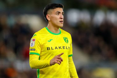 Norwich City 'den Marcelino Nunez, 15 Aralık 2024' te Norwich City, Norwich Road 'da Burnley' e karşı oynanan Gökyüzü İddia Şampiyonası maçında takım talimatlarını veriyor.