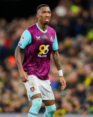 Burnley 'den Jaidon Anthony, 15 Aralık 2024' te Norwich City, Norwich Road, Norwich Road 'da Burnley' e karşı oynanan Gökyüzü İddia Şampiyonası maçında tepki gösterdi.