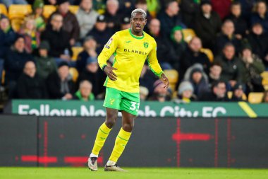 Norwich City 'den Jose Cordoba, 15 Aralık 2024' te Norwich City, Norwich Road, Norwich 'te Burnley' e karşı oynanan Gökyüzü İddia Şampiyonası maçında görev başında.