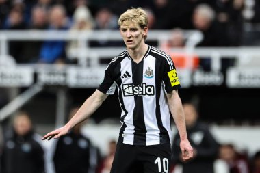 Newcastle United takımından Anthony Gordon, 18 Aralık 2024 'te St.James' s Park, Newcastle 'da Newcastle United' a karşı oynanan Carabao Kupası çeyrek finalinde