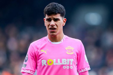 Southampton 'dan Mateus Fernandes 22 Aralık 2024' te Craven Cottage, Londra, İngiltere 'de oynanan Premier League maçında Fulham ve Southampton maçına bakıyor.