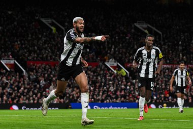 Newcastle United takımından Joelinton, 30 Aralık 2024 tarihinde Manchester United ile Newcastle United arasında oynanan Premier League maçında 0-2 'lik galibiyet golünü kutluyor.