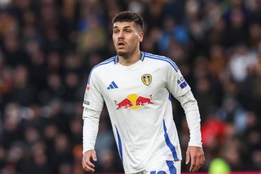 Leeds United takımından Jol Piroe, Hull City ile Leeds United maçında, MKM Stadyumu, Hull, İngiltere, 4 Ocak 2025