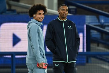 Everton 'dan Ashley Young, 9 Ocak 2025' te İngiltere 'nin Liverpool kenti Goodison Park' ta oynanan 3.