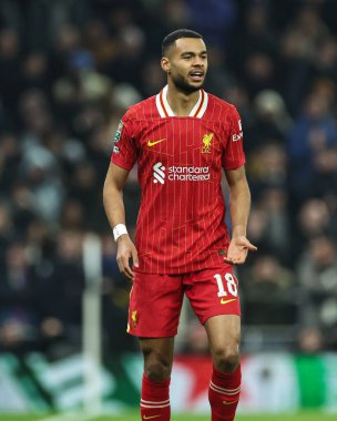Liverpool 'dan Cody Gakpo Carabao Kupası Yarı Finalleri sırasında Tottenham Hotspur' a karşı Liverpool Tottenham Hotspur Stadyumu, Londra, Birleşik Krallık, 8 Ocak 2025