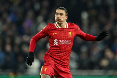 Liverpool 'dan Darwin Nez Carabao Kupası Yarı Finalleri sırasında Tottenham Hotspur, Liverpool' a karşı Tottenham Hotspur Stadyumu, Londra, İngiltere, 8 Ocak 2025