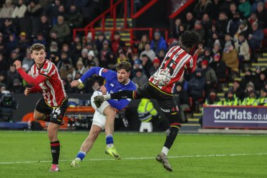 Cardiff City 'den Ollie Tanner, 9 Ocak 2025' te Bramall Lane, Sheffield, İngiltere 'de oynanan 3.