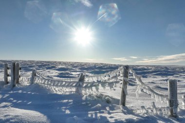 Heavy snow and ice hangs of fencing on Saddleworth Moor after days of sub-zero temperatures, Saddleworth, United Kingdom, 11th January 2025 clipart