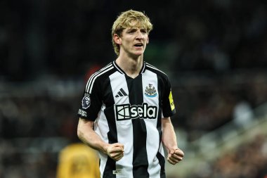 Newcastle United takımından Anthony Gordon, 15 Ocak 2025 'te St. James' s Park, Newcastle, İngiltere 'de oynanan Premier League maçı Newcastle United ile Wolverhampton Wanderers maçında 3-0' lık galibiyetini kutluyor.