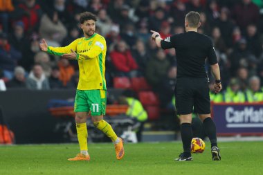 Norwich City 'den Emiliano Marcondes 18 Ocak 2025' te Bramall Lane, Sheffield, İngiltere 'de oynanan Sky Bet Şampiyonası maçında hakem Josh Smith' e konuştu.