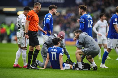 Cardiff City 'den Callum O' Dowda, 18 Ocak 2025 'te Cardiff City, Cardiff City Stadyumu' nda oynanan Sky Bet Şampiyonası maçında görevden alınmadan önce tedavi görüyor.