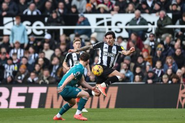 Newcastle United takımından Sandro Tonali 18 Ocak 2025 'te St. James' s Park, Newcastle 'da oynanan Premier League maçı sırasında topu kontrol ediyor.