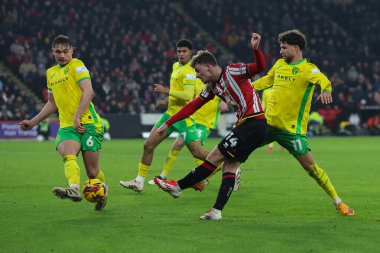 Sheffield United takımından Harrison Burrows 18 Ocak 2025 'te İngiltere' nin Bramall Lane kentinde oynanan Sheffield United-Norwich City maçında gol vuruşu yaptı.