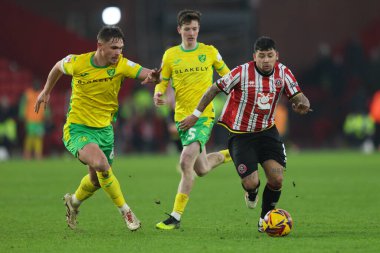 Sheffield United takımından Gustavo Hamer, 18 Ocak 2025 'te Bramall Lane, Sheffield, İngiltere' de oynanan Sky Bet Şampiyonası maçında Norwich City ile oynanan maçta Norwich City 'den Liam Gibbs' e baskı yapıyor.