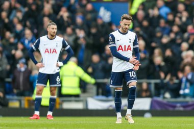 Tottenham Hotspur 'dan James Maddison, Evertons' un 19 Ocak 2025 tarihinde Goodison Park, Liverpool 'da oynanan Premier League maçında attığı ikinci gol sonrasında tepki gösterdi.