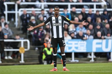 Newcastle United takımından Alexander Isak, 18 Ocak 2025 'te St. James' s Park, Newcastle, İngiltere 'de oynanan Premier League karşılaşmasında tepki gösterdi.
