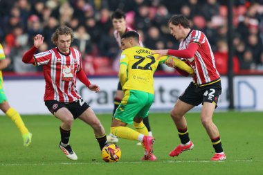 Norwich City 'den Lewis Dobbin, Sheffield United' ın 18 Ocak 2025 'te Bramall Lane, Sheffield, İngiltere' de oynanan Sky Bet Şampiyonası karşılaşmasında Sheffield United 'ın Norwich City' e karşı oynadığı maçta Sydie Peck 'ten baskı görüyor.