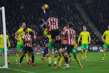 Norwich City 'den Angus Gunn, 18 Ocak 2025' te Sheffield United ile Norwich City arasında oynanan Gökyüzü İddia Şampiyonası maçında köşesini kurtardı.