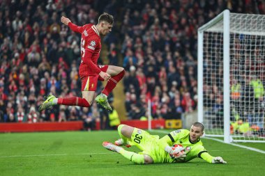 Liverpool 'lu Lucas Chevalier, Liverpool Şampiyonlar Ligi - Lig Stage Liverpool - Liverpool Lille maçı sırasında İngiltere' nin Liverpool şehrinde 21 Ocak 2025 tarihinde Liverpool 'lu Conor Bradley' in ayaklarından kurtardı.